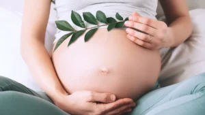 Scopri di più sull'articolo Fertilità, Antiossidanti e probiotici